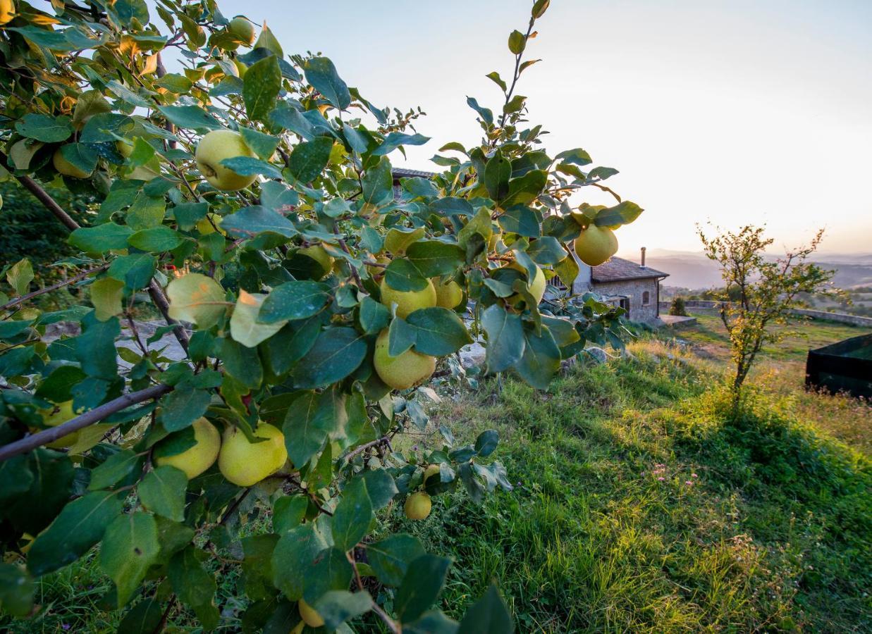 Fattoria Branciana Bed and Breakfast Rossena Εξωτερικό φωτογραφία