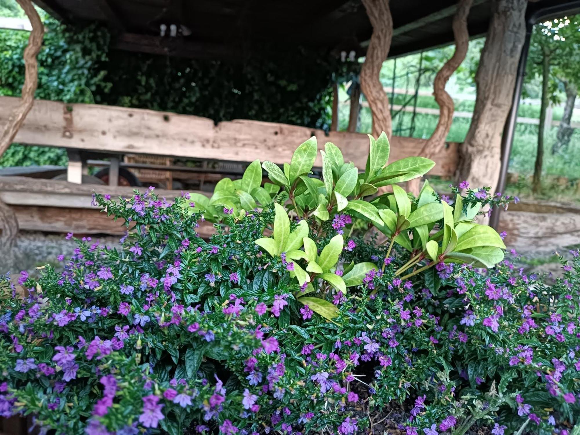 Fattoria Branciana Bed and Breakfast Rossena Εξωτερικό φωτογραφία